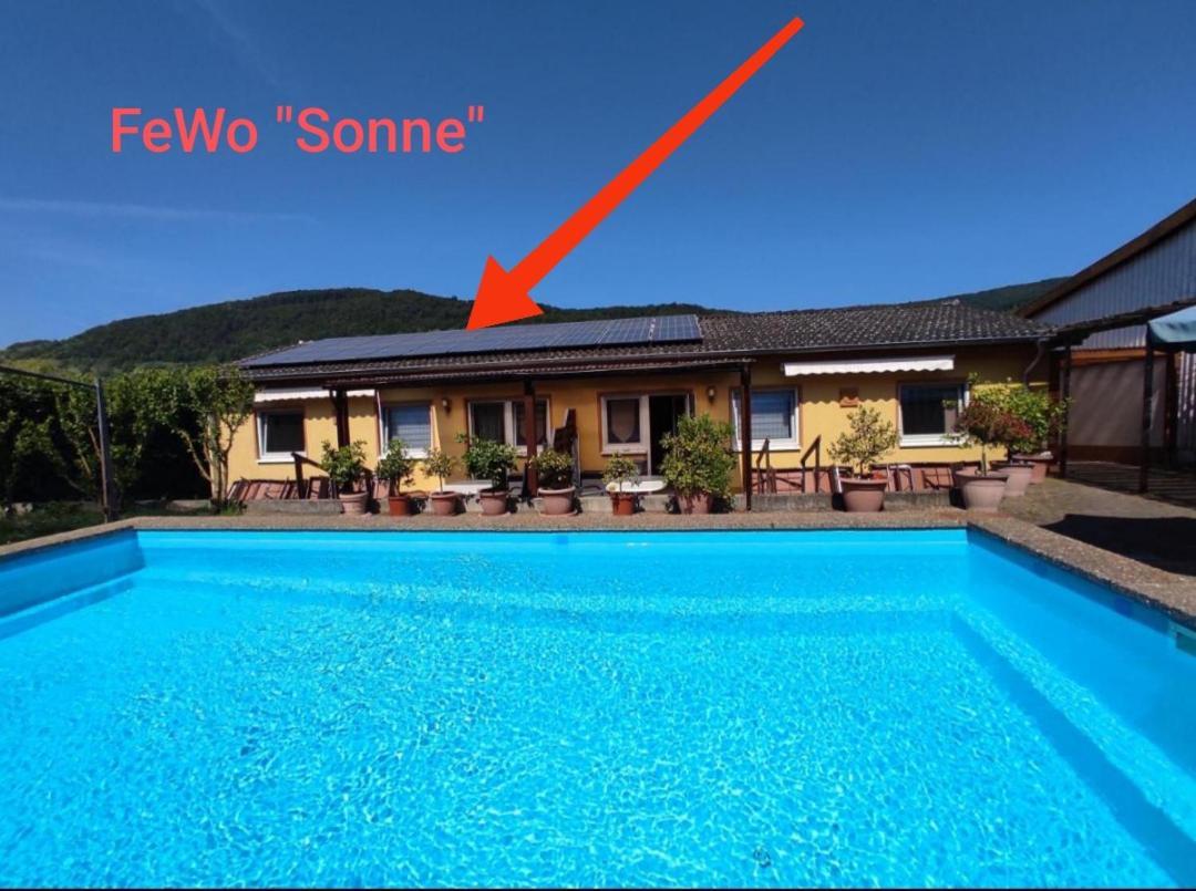 Moselferienweingut Schaefer Διαμέρισμα Wintrich Δωμάτιο φωτογραφία